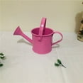 thumbnail image 4 of MYG Garden Small Water Spraying Pot Flower Kettle Metal Watering Can Sprinkled, 4 of 7