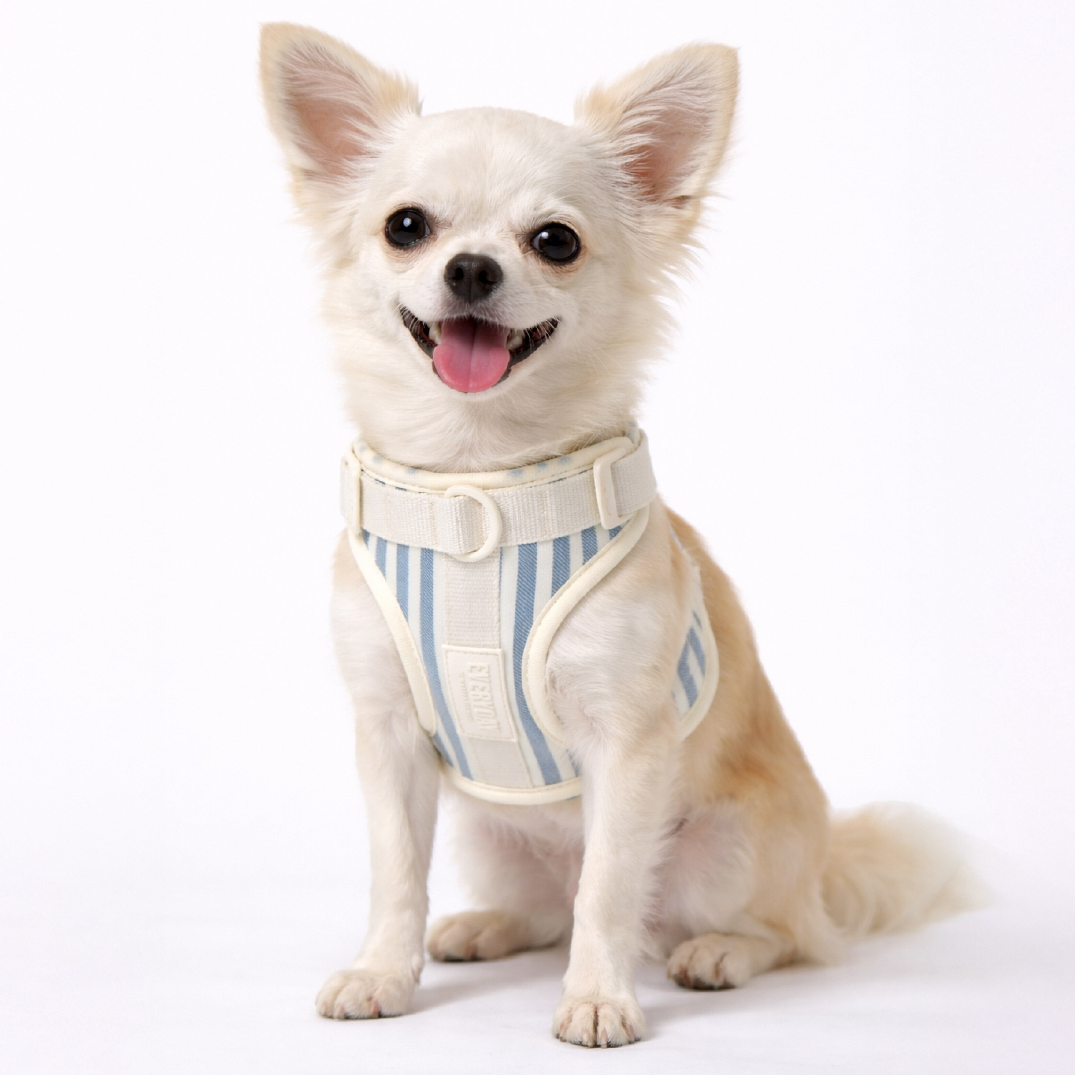 Martha Stewart Neoprene Padded XS Pet Harness for Dogs - Soft and Comfortable Stripe Design