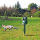 thumbnail image 5 of Repelente De Animales Repelente de conducción de animales Unidad ultrasónica animal creativa para jardín al aire libre Likrtyny Libre de BPA, 5 of 9