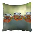 thumbnail image 1 of RYLABLUE Taie d'Oreiller Arbre Macro Vert Grenouille Java Volant sur une Branche Colorée Adorable Animal Amphibien Belle 16x16 Pouces, 1 of 1