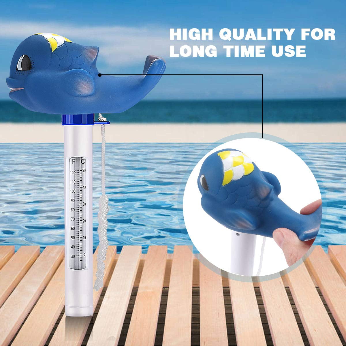 inground pool thermometer