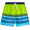 Blue/Green Stripes, variant on Quad Seven Boys' Swim Trunks - Quick Dry Board Shorts Bathing Suit (Size: 8-18)