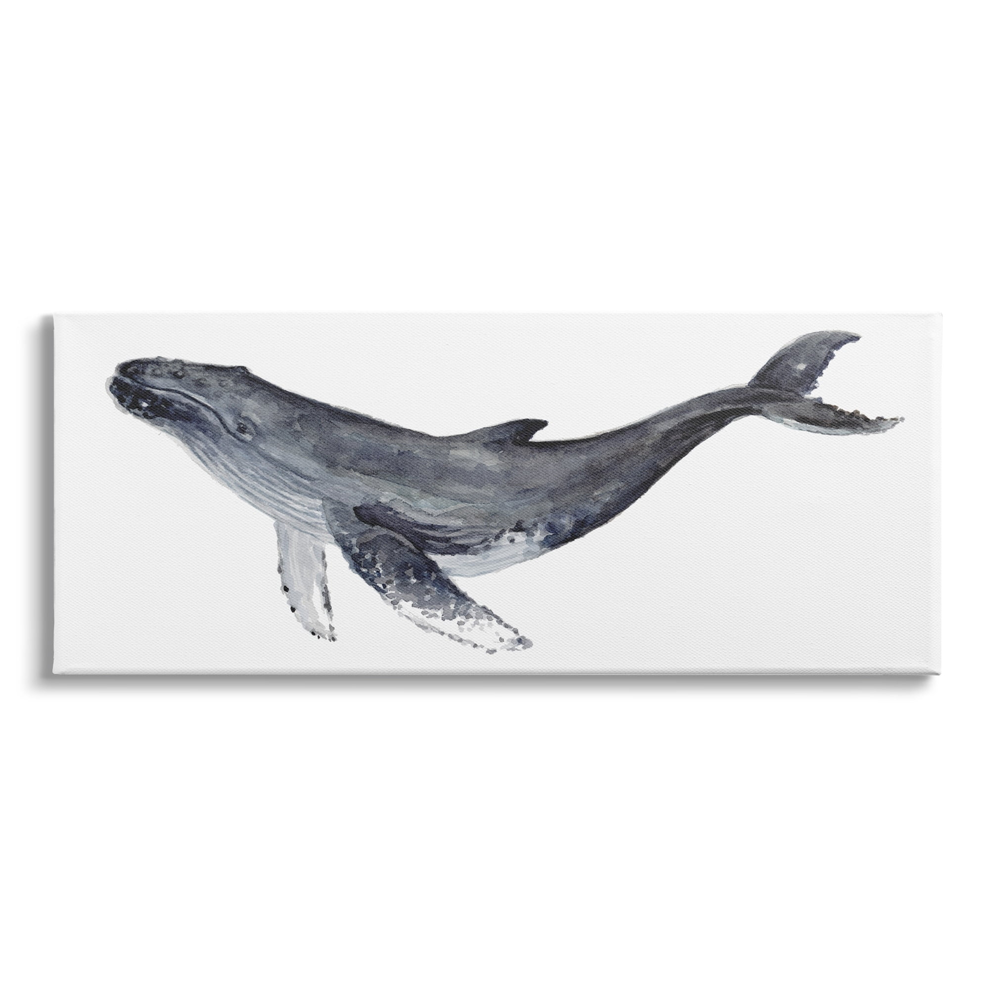 Stupell Industries Humpback Whale Watercolor Painting Aquatic Animal Portrait, 30 x 13,Design by Fox Hollow Studios