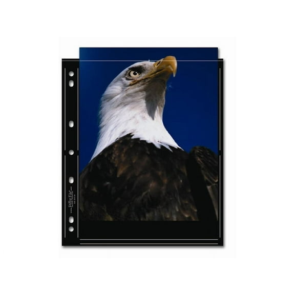 Print File 810-2S-BLK 8x10 Print Preservers (25 Pages)