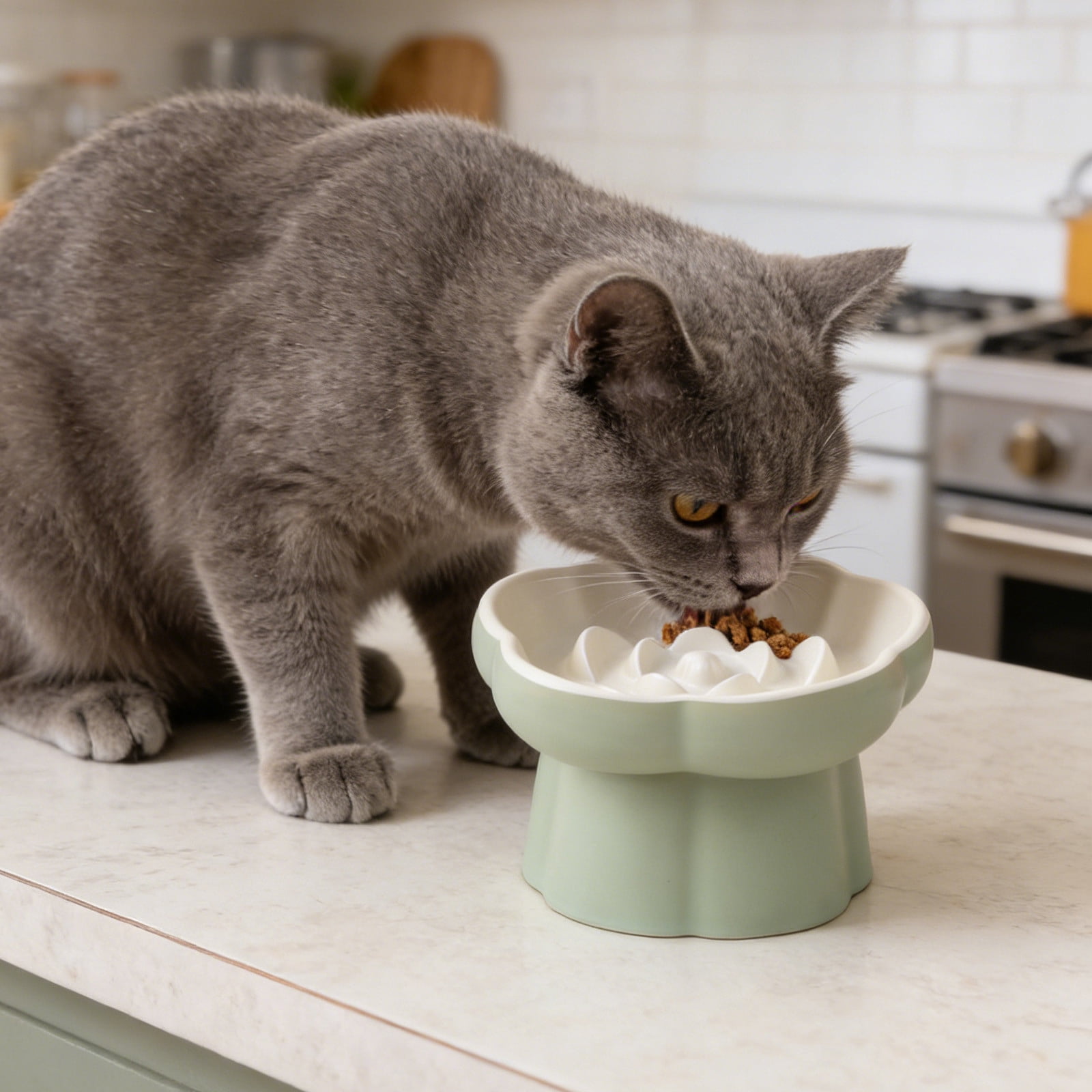 Ceramic Elevated Slow Cat Feeder, Raised Feeding Dish with Maze Design, Easy To Clean, for Indoor Cats and Small Dogs Green