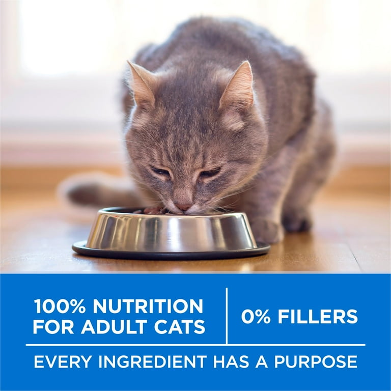 Purina ONE Plus Salmon Cat Food, High Protein Kibble photo 7