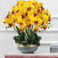 thumbnail image 4 of Artificial Phalaenopsis Flowers 3 Inch Artificial Orchid Flowers Stem Plants Fake Flowers for Home Décor (Yellow Piebald), 4 of 5