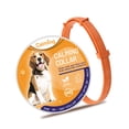 thumbnail image 1 of Collar De Gato Retráctil Ajustable Con Hebilla Para El Cuello, Elimina La Inquietud, Suministro De Entrenamiento Para Caminar, Productos Calmantes Para Mascotas, Tienda Para El Hogar Yuarrent PT001625-01, 1 of 6