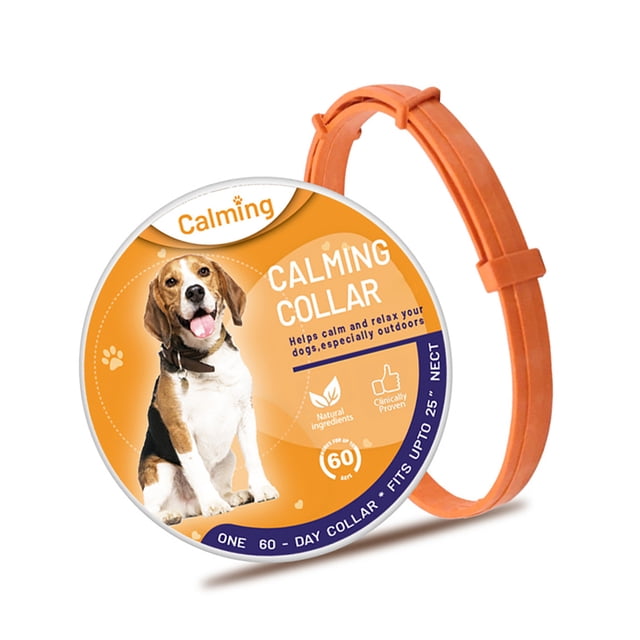 Collar De Gato Retráctil Ajustable Con Hebilla Para El Cuello, Elimina La Inquietud, Suministro De Entrenamiento Para Caminar, Productos Calmantes Para Mascotas, Tienda Para El Hogar Yuarrent PT001625-01