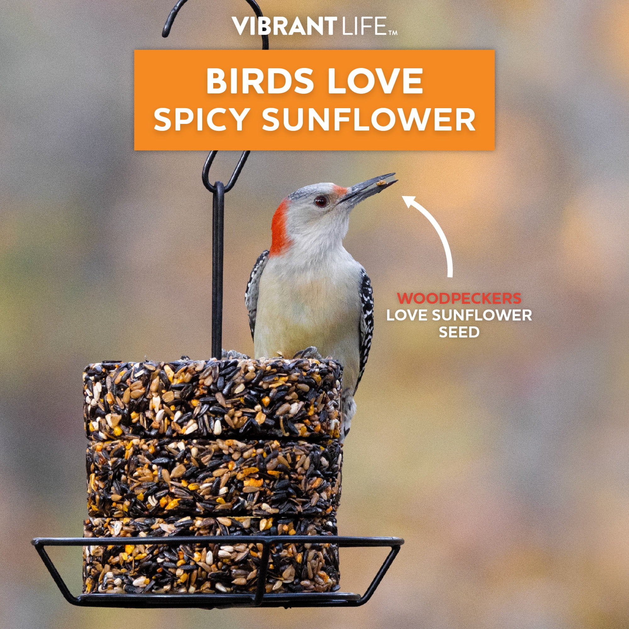 Vibrant Life Snack Stack Spicy Sunflower Wild Bird Feed, 7 oz