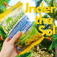 thumbnail image 2 of Soldanza Plantain Chips, Variety Pack 2.5 oz (Pack of 12) 4 x Salted Plantain Chips, 4 x Ripe Plantain Chips, 4 x Garlic Plantain Chips, 2 of 3