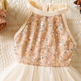 thumbnail image 5 of NIEWTR Toddler Baby Girls Embroidered Lace Dress Pageant Wedding Flower Girl Formal Evening Gown(Khaki,6-7 Years), 5 of 8