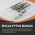 thumbnail image 5 of 36 Pieces of Eucalyptus Stems Artificial Leaf True Gray Branches, 5 of 9