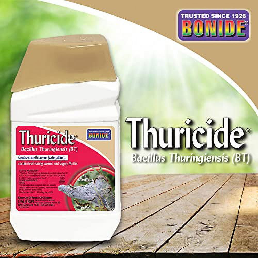 Bonide (BND803) - Leaf Eating Worm & Moth Killer, Thuricide Bacillus Thuringiensis (Bt) Outdoor Insecticide/Pesticide Liquid Concentrate (16 oz.)