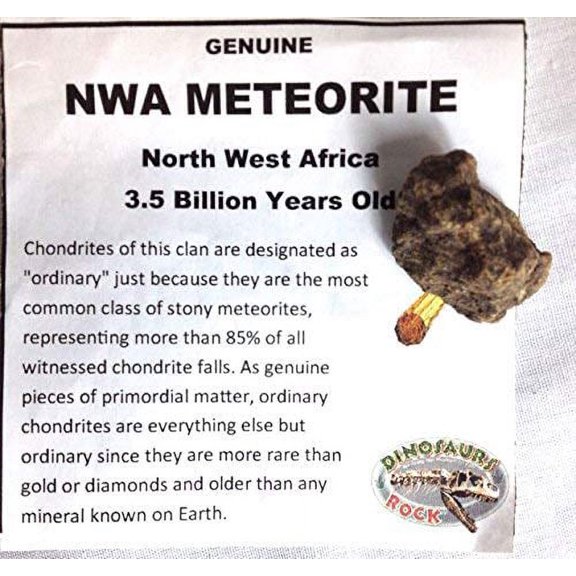 Genuine Meteorite - from Northwest Africa - 1 Billion Years Old