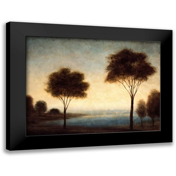 Thomas, Neil 14x12 Black Modern Framed Museum Art Print Titled - Water Dreams I