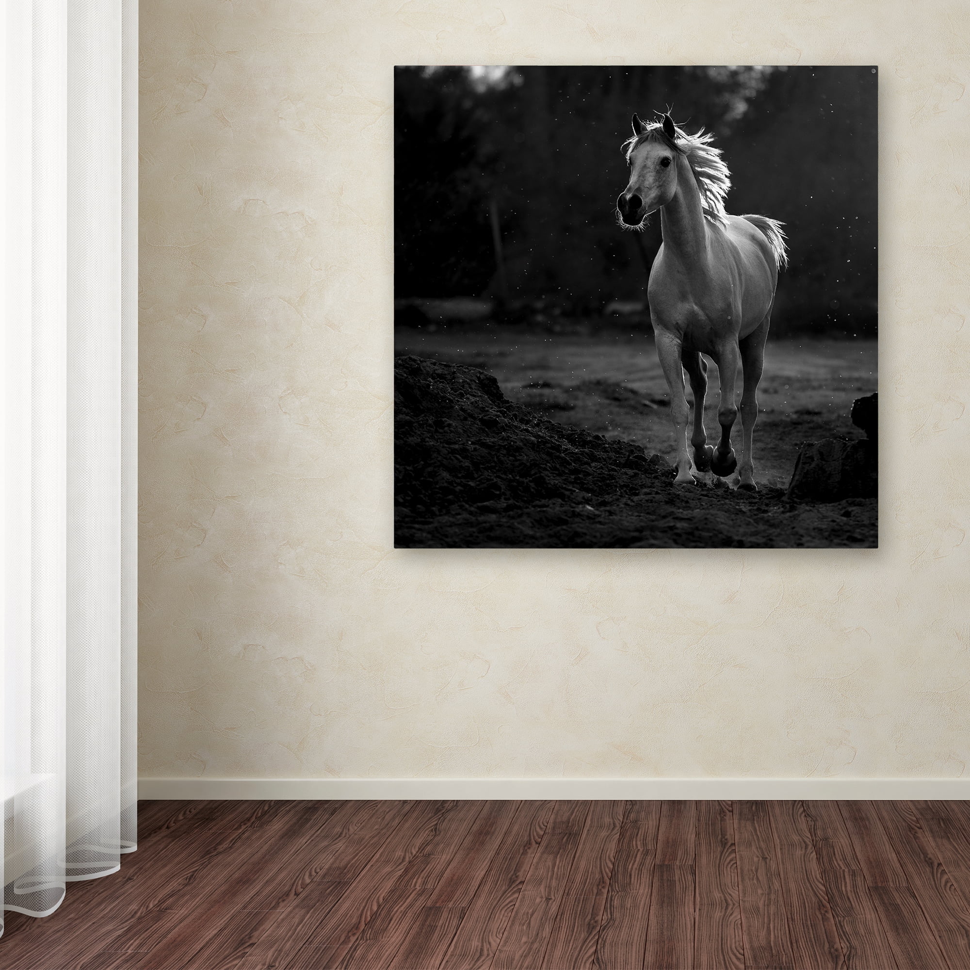 Trademark Fine Art 'Coquetry' Canvas Art by Abdullah Al-Saeed