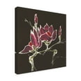 thumbnail image 2 of Trademark Fine Art 'Magnolia on Black III' Canvas Art by Chris Paschke, 2 of 3