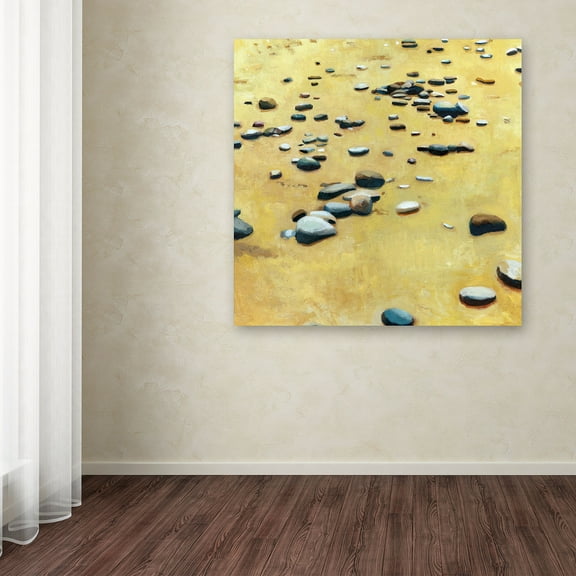 Trademark Fine Art "Pebbles on the Beach" Canvas Art by Michelle Calkins