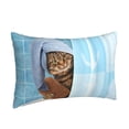 thumbnail image 2 of Balery Funny Cat Taking a Bath Bedding Queen Pillow Cases - Envelope Closure - Soft Brushed Microfiber Fabric - Shrinkage and Fade Resistant Pillow Cases-16"x24", 2 of 9