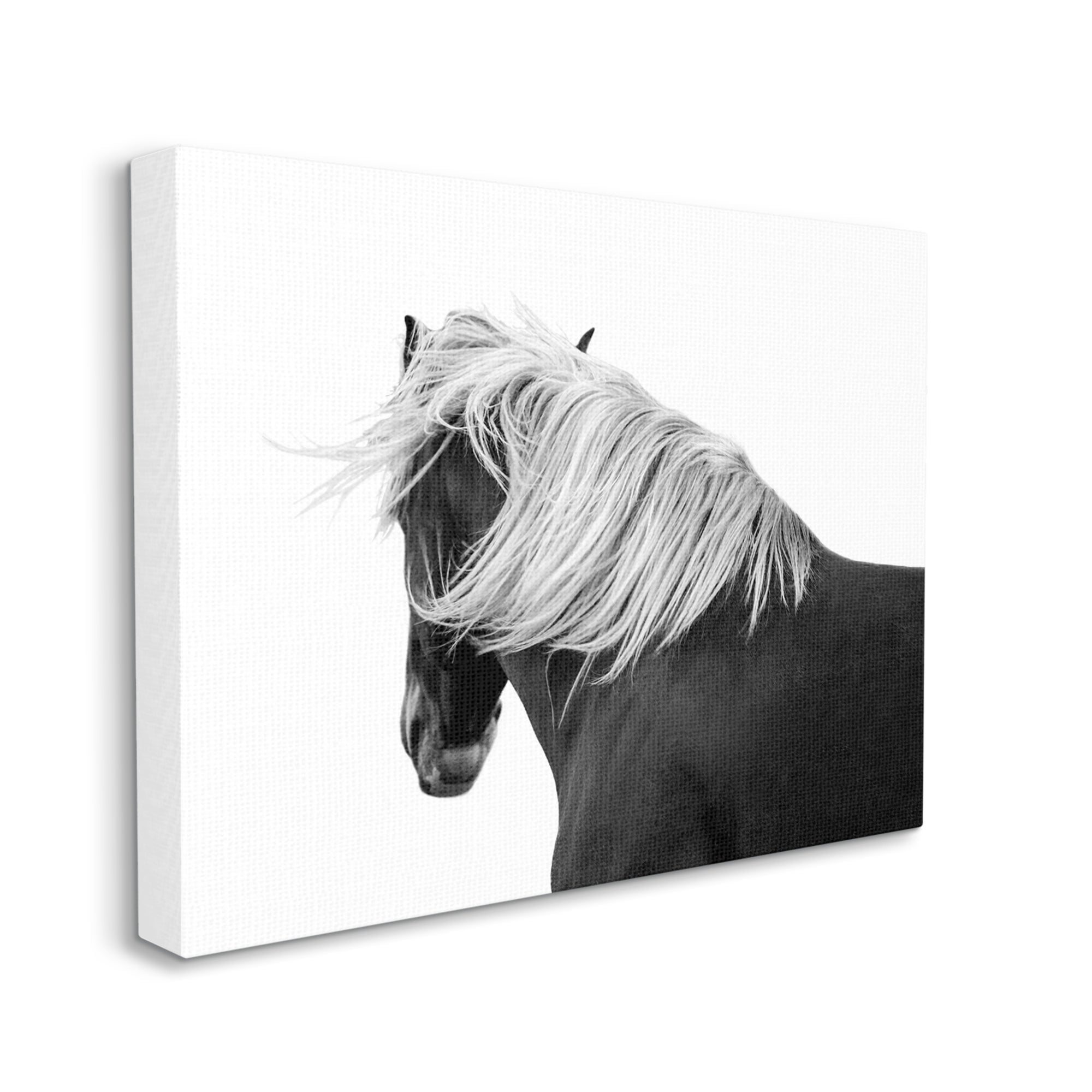 Stupell Industries Equestrian Photography Modern Horse Contrast Black White, 48 x 36,Design by Samantha Carter