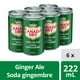 Soda gingembre Canada DryMD - Emballage de 6 mini-canettes de  222 mL 6 x 222 ml – image 5 sur 15