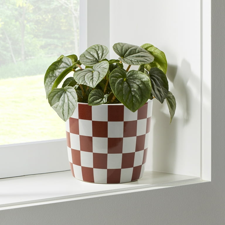 Mainstays 6 Inch Red White Checkered Planter