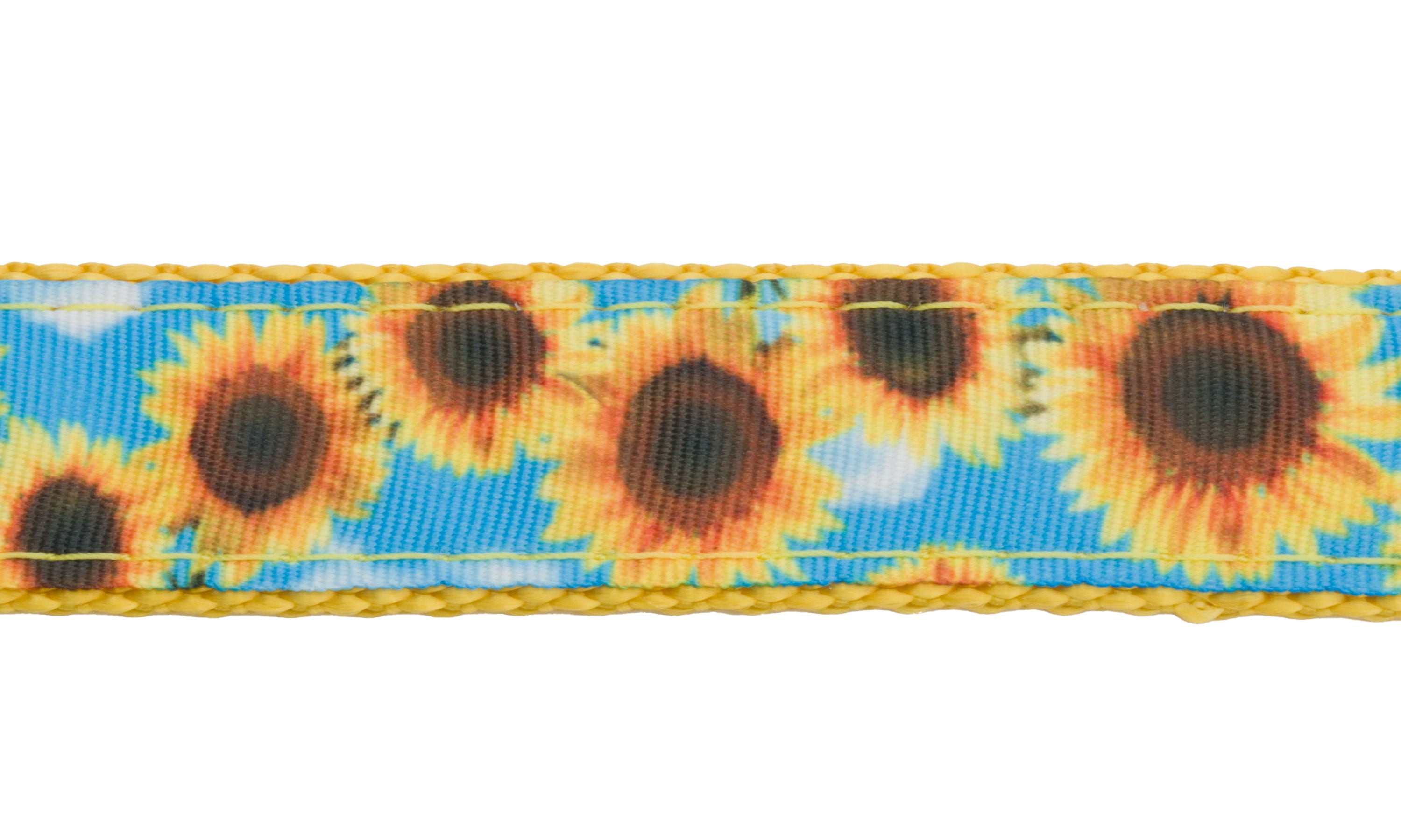 Country Brook Design - Sunflowers Ribbon on Gold Nylon Webbing (1 Inch, 10 Yards)