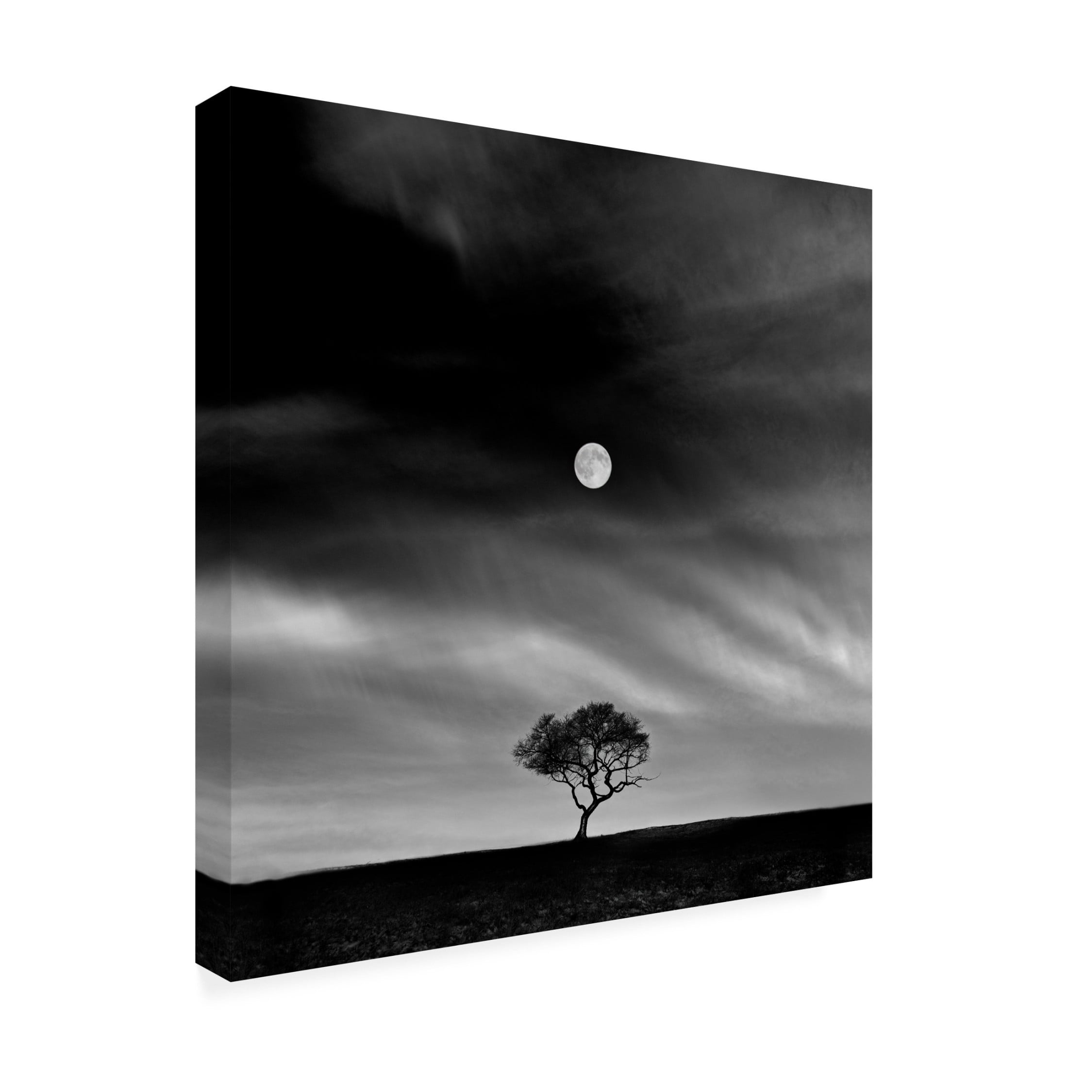 Trademark Fine Art Hsiao Yang Fei  Stories under the Moon (No 5) Canvas Wall Art