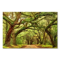 Elephant Stock Charleston Oak Forest Wall Art - Horizontal Canvas Wall Art - Living Room Wall Decor - Nature Canvas - Brown And Green Decor - 36" x 24"