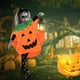 thumbnail image 2 of Conjunto de disfraz de calabaza de Halloween para adultos Ponche de capa de calabaza Sincero Electrónica, 2 of 5