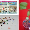 3 Pcs/Set Magic Beans With Crystal Mud Kids Gift