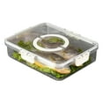 thumbnail image 1 of Fruit Storage Box Portable Design Ventilate Compartment with Lid Eco-friendly Store PET Vegetable Fruit Storage Container Home Supplies, 1 of 12