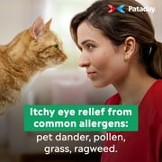 (3 pack) Pataday Once Daily Extra Strength Eye Allergy Itch Relief Drops, 2.5 ml
