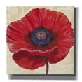 thumbnail image 1 of Epic Graffiti 'Red Poppy II' by Tim O'Toole, Canvas Wall Art, 12"x12", 1 of 2