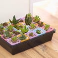 thumbnail image 5 of Maceta de plástico de 24 piezas, 7x8 cm, adecuada para suculentas y plantas pequeñas en macetas, 5 of 5