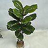 thumbnail image 4 of 1 Pc No Withering Artificial Leaf Vivid Faux Silk Flower Table Centerpieces Simulation Plant Home Decor, 4 of 5