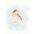 thumbnail image 2 of Vess, June Erica 12x14 White Modern Wood Framed Museum Art Print Titled - Dapper Bird III, 2 of 4