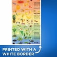 thumbnail image 3 of Eat A Colorful Diet Poster - Nutrition Colorful Balanced - Healthy Habits Nutrition Education - Food Group 12 x 18 Inch Poster - Unframed - Premium 100lb Gloss - Made In USA - BMCP0462, 3 of 5