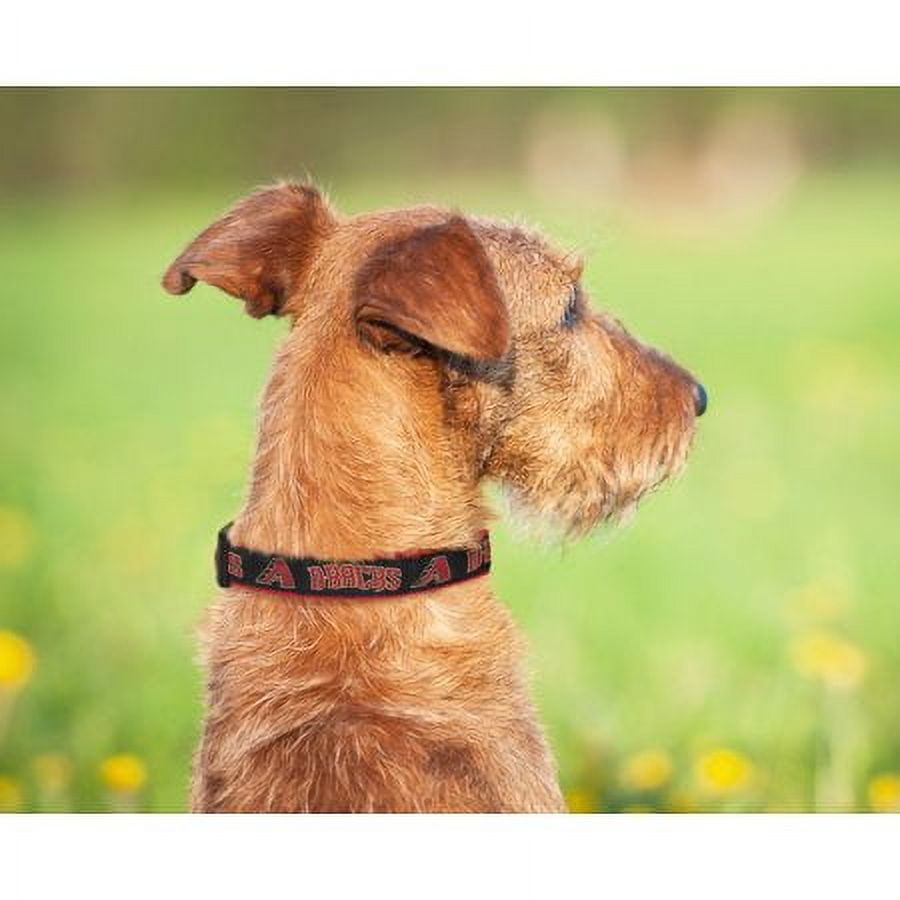 Arizona Diamondbacks Pet Collar By Pets First - Small