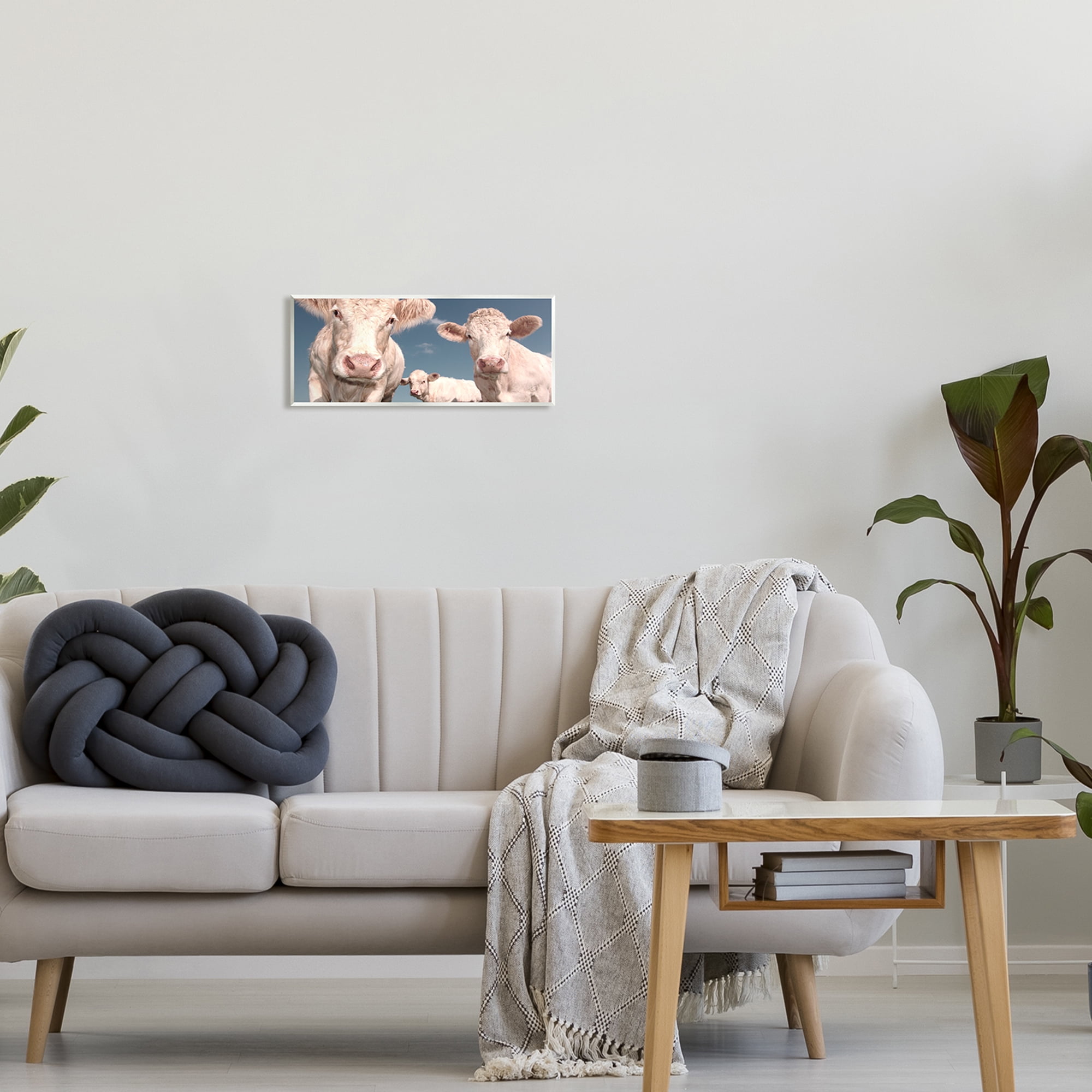 Stupell Industries Three White Cows Animals & Insects Photography Unframed Art Print Wall Art, 17 x 7