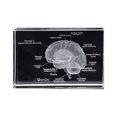 thumbnail image 3 of Diagrama de estructura anatómica con adornos artesanales, modelo de cerebro en inglés, cuerpo humano médico con grabado de cristal 3D, 3 of 3