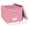 New-pink, variant on File Organizer, File Box, File Cabinet for Letter File Folder Storage, Portable Storage Bins with Lids for Office/Decor/Home,Document Organizer, 1 Pack,Green-Box Only