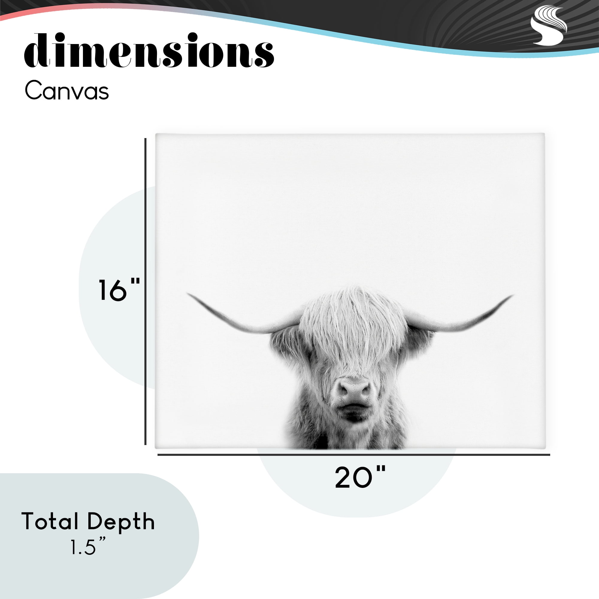 Stupell Industries Scottish Cow Portrait Canvas Wall Art, design by Leah Straatsma