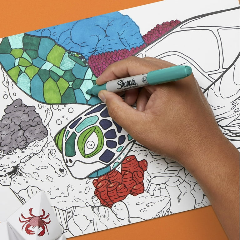 Sharpie Coloring Kit With 12 Art Pens 13 Markers 1 Connect The