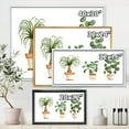thumbnail image 4 of Designart 'Trio of House Plants Ficus Ponytail and Palm' Traditional Framed Canvas Wall Art Print, 4 of 5