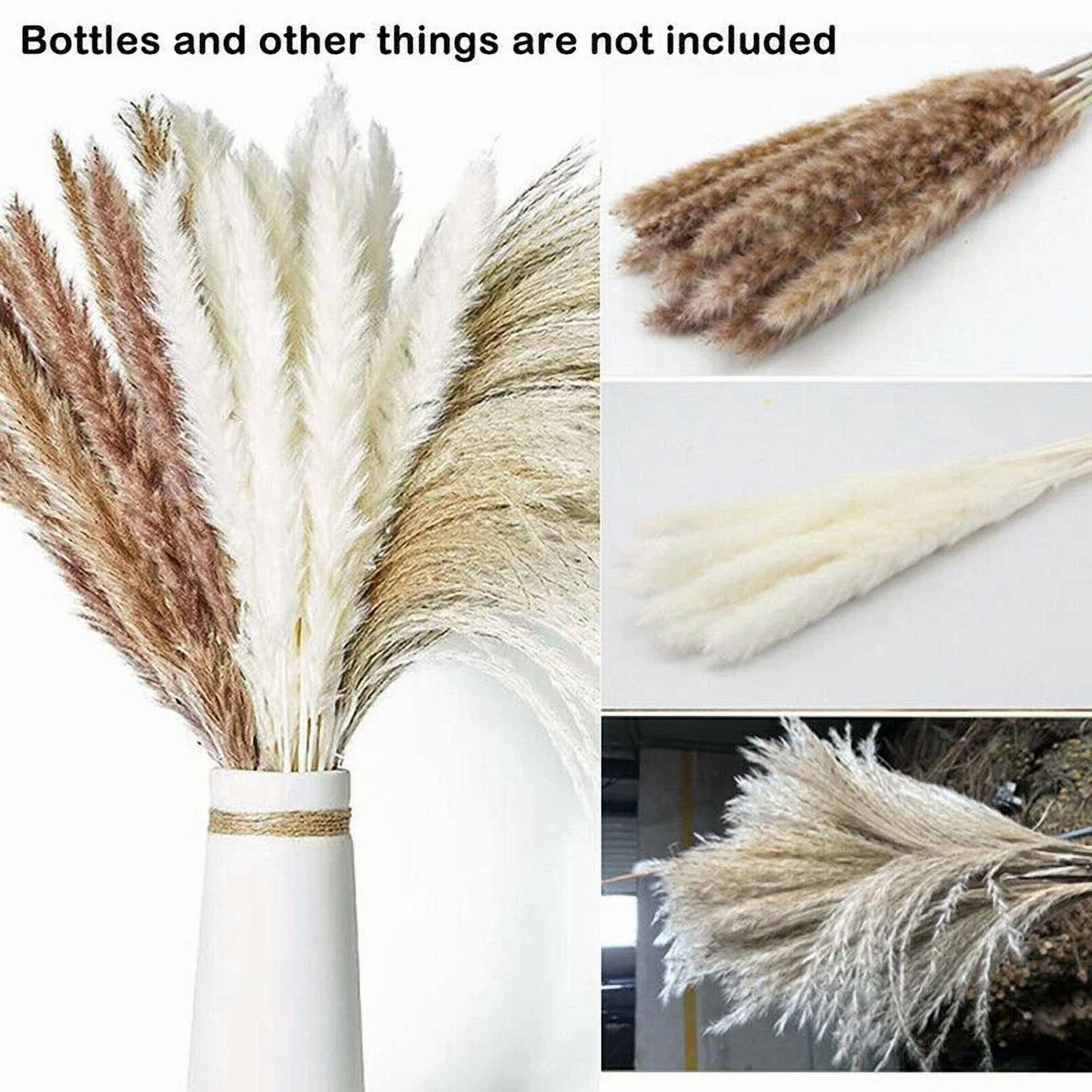 CIRCLE- 60Pcs Natural Dried Pampas Grass Reed Flower Bunch Bouquets Home Wedding Decor