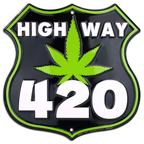 Hangtime - Highway 420  12 x 12 inch Route Sign