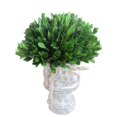 thumbnail image 1 of Jeco HD-BT001 12 in. Holly & Boxwood Topiary Tree, 1 of 1