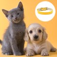 thumbnail image 3 of Collar de piel suave para perros: un collar para perros pequeños, medianos y grandes, 3 of 5